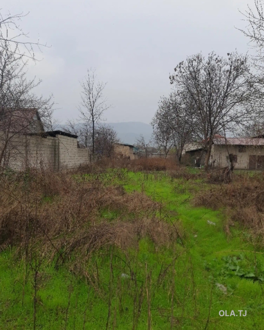 Дом (хавли), 3 комнат,