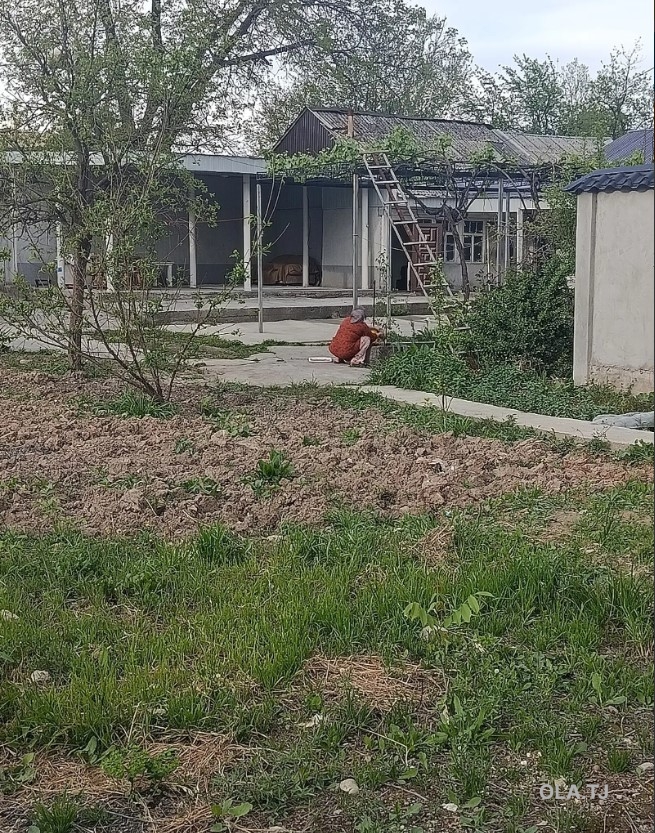 Дом (хавли), 10+ комнат, 1 эт