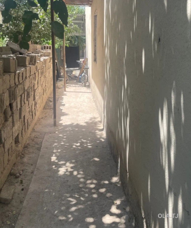 2 комнатная квартира, 1 этаж, 55 м²