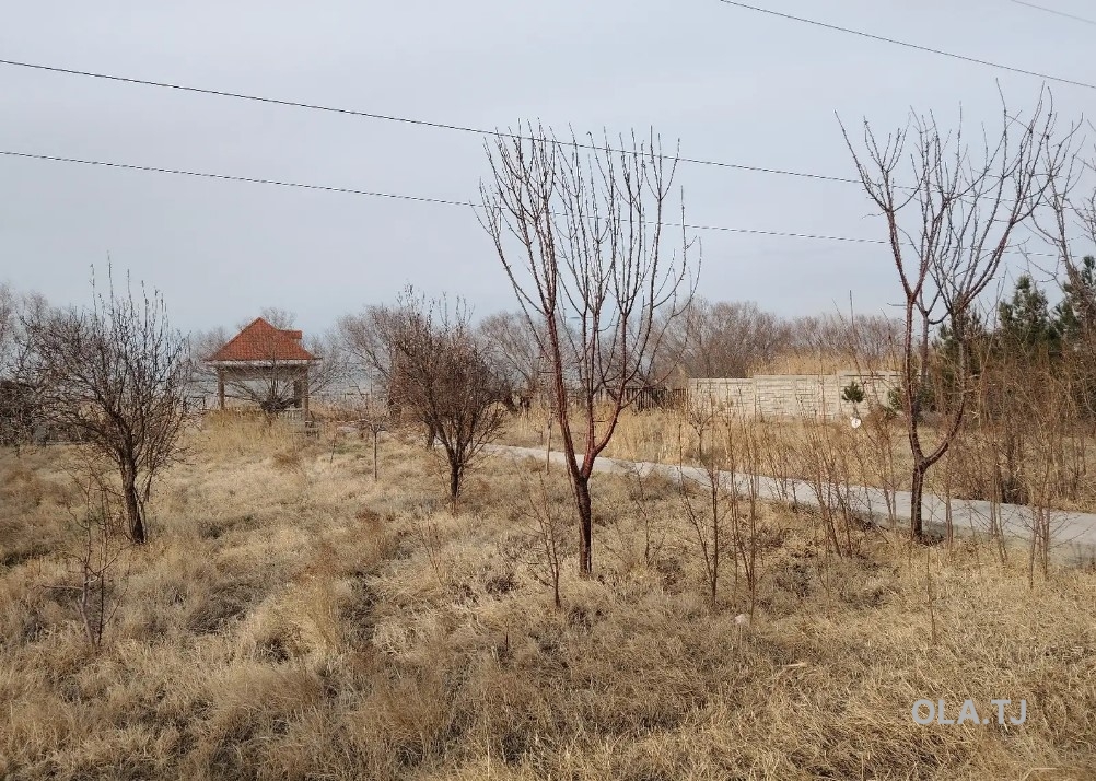 Дача, 3 комнат,