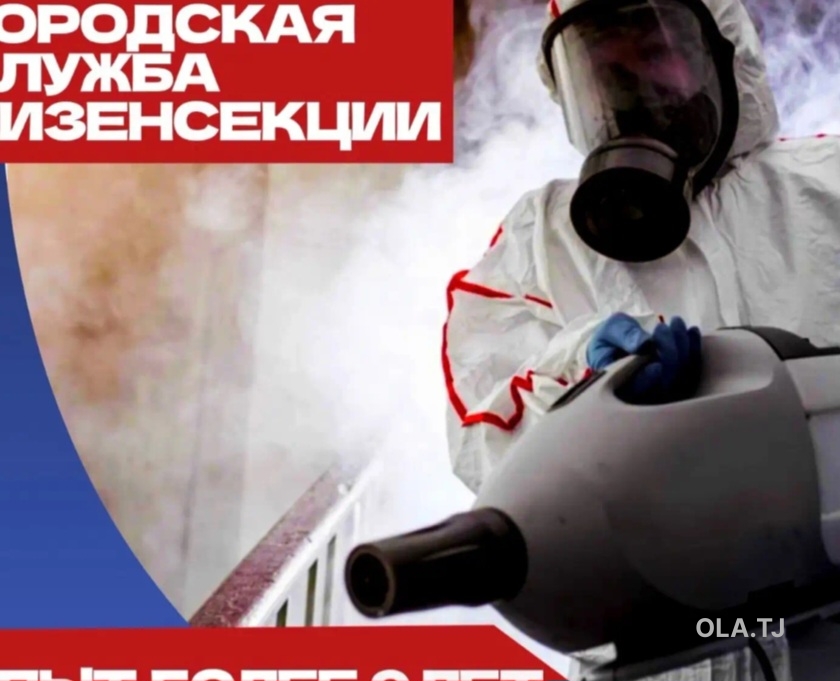 дезинфекция