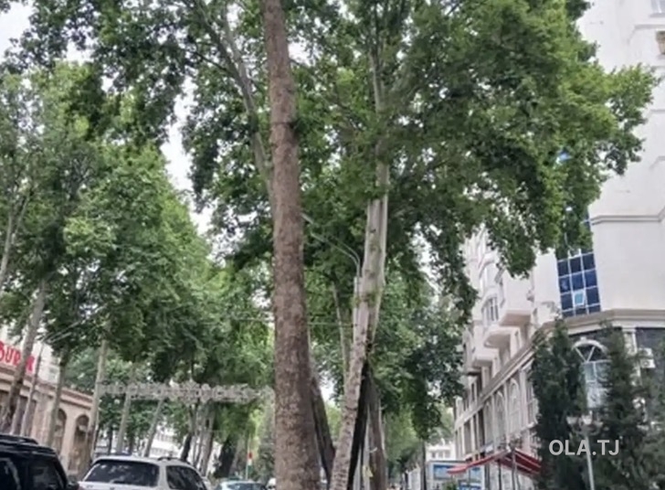 2 комнатная квартира, 16 этаж, 77 м²