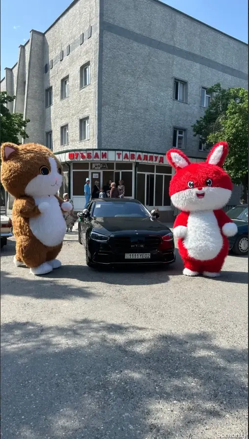 Услуги аниматоров