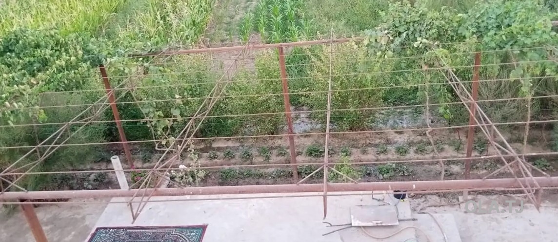 Дом (хавли), 4 комнат, 1 эт