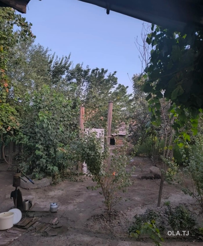 Дом (хавли), 4 комнат, 1 эт