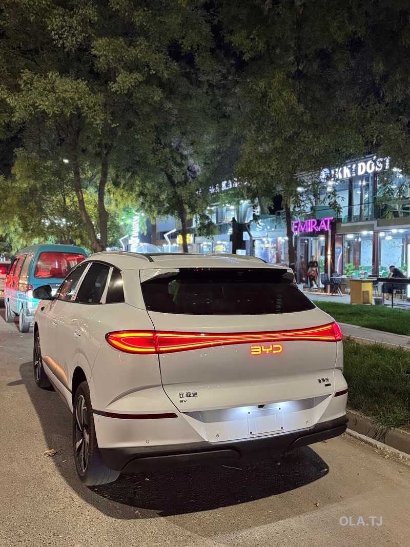 BYD Sea Lion 06,  2025