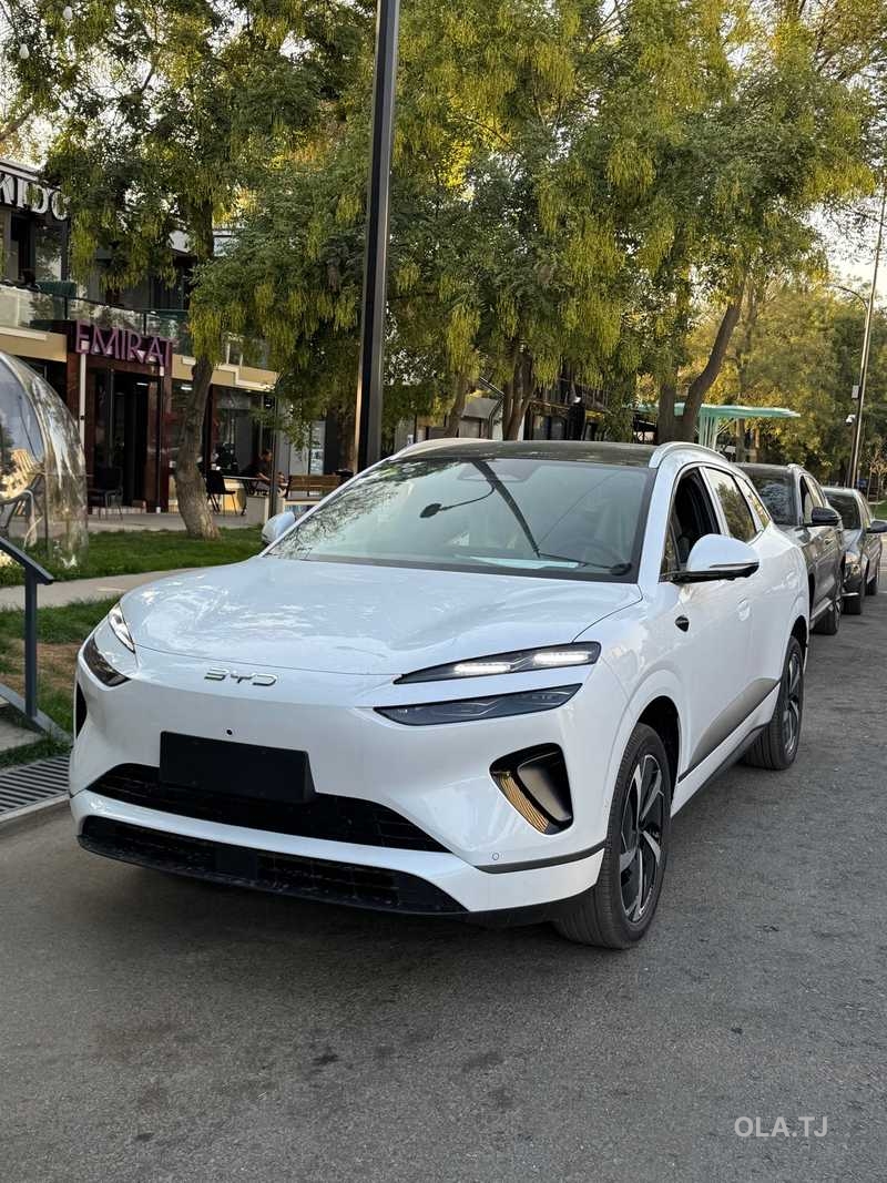 BYD Sea Lion 06,  2025