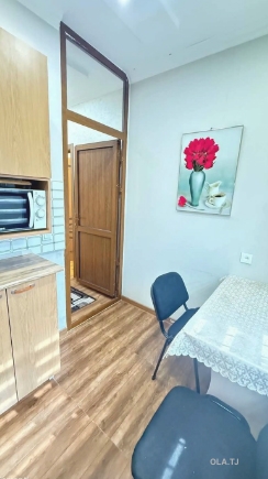 1 комнатная квартира, 1 этаж, 33 м²