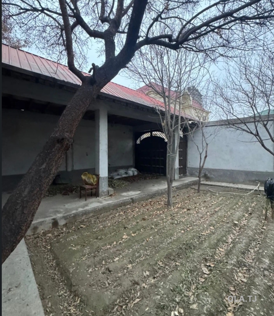 Дом (хавли), 5 комнат,