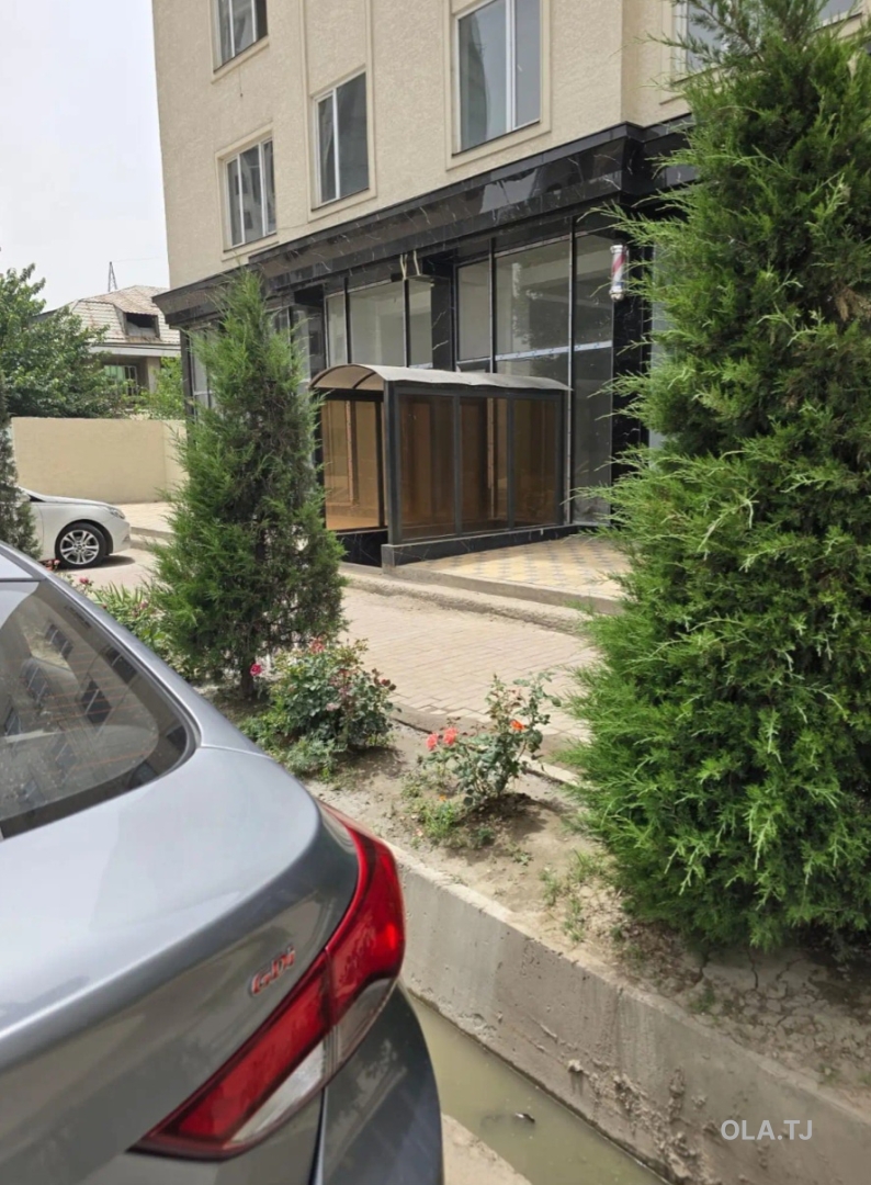Помещение под магазин / салон, 60м², Карасинка