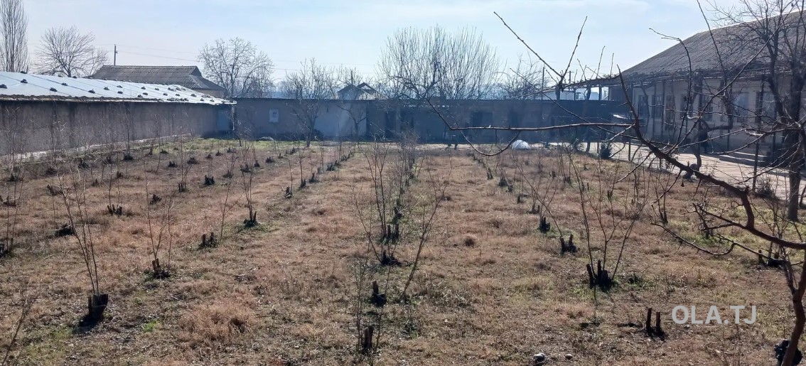Дом (хавли), 8 комнат, 1 эт