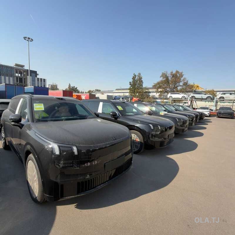 BYD Sea Lion 07,  2025