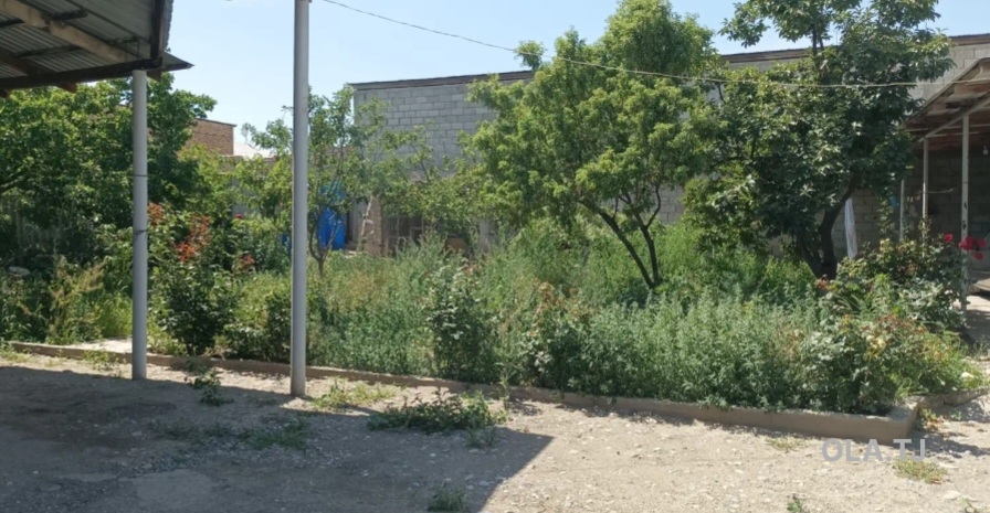 Дом (хавли), 5 комнат,