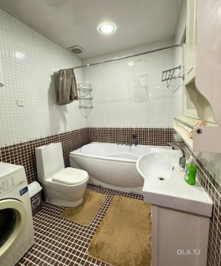 1 комнатная квартира, 1 этаж, 54 м²