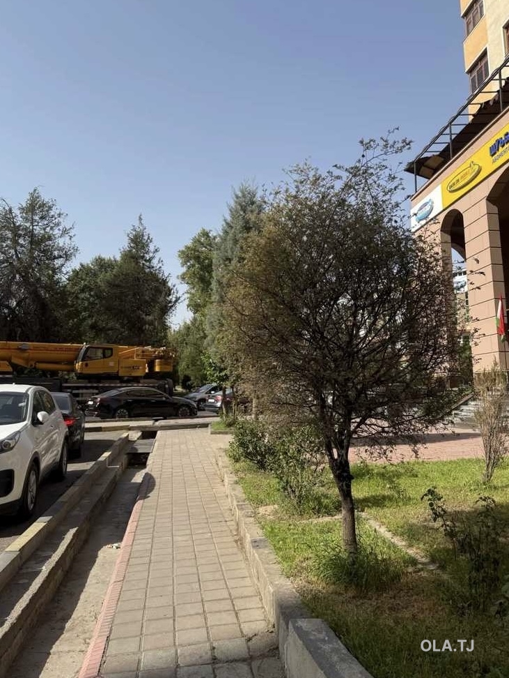 2 комнатная квартира, 7 этаж, 60 м²
