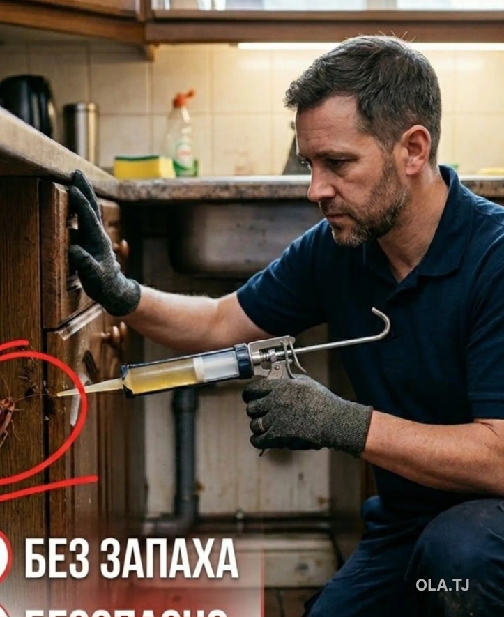 Дизинфекция от тараканов