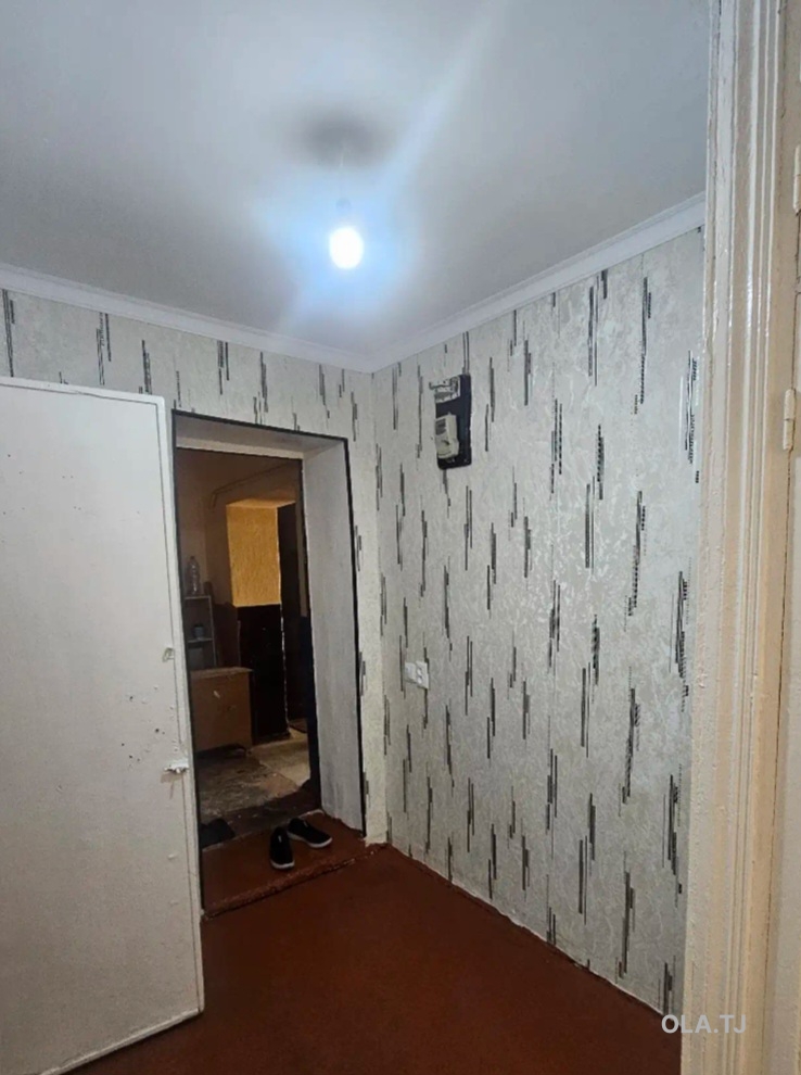 1 комнатная квартира, 1 этаж, 40 м²