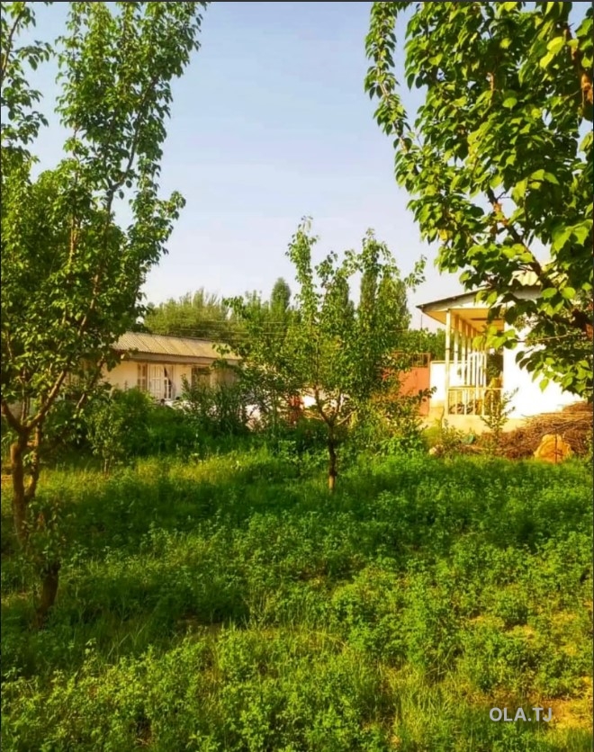 Дом (хавли), 7 комнат, 1 эт