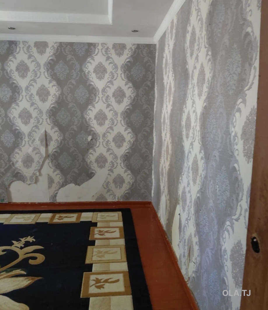 1 комнатная квартира, 1 этаж, 30 м²