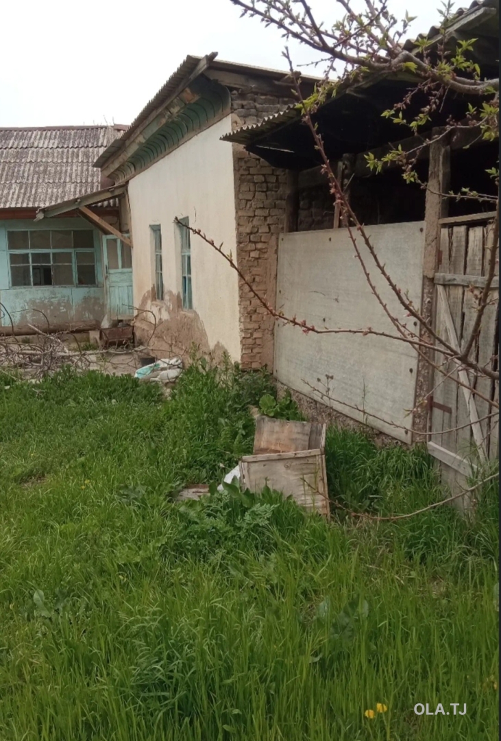 Дом (хавли), 4 комнат,