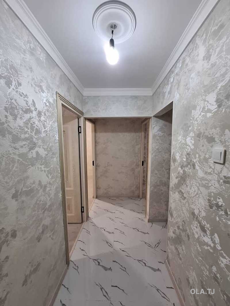 1 комнатная квартира, 1 этаж, 65 м²