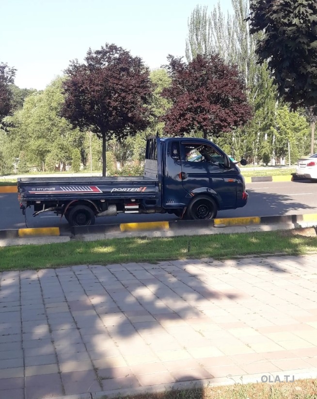 Услуги грузоперевозок