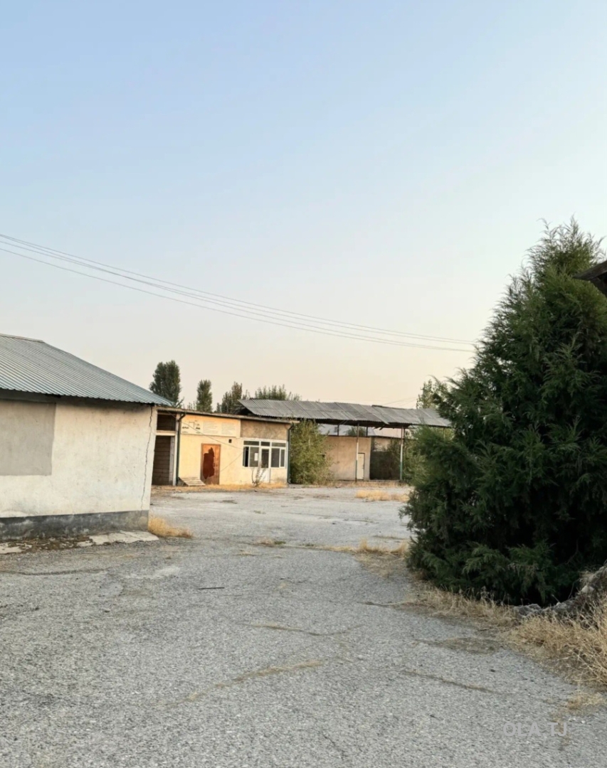 Офис в аренду, Отдельно стоящее здание, 4300 м²