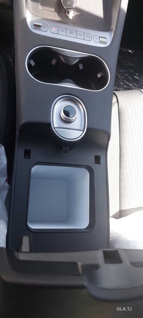 BYD Sea Lion 06,  2025
