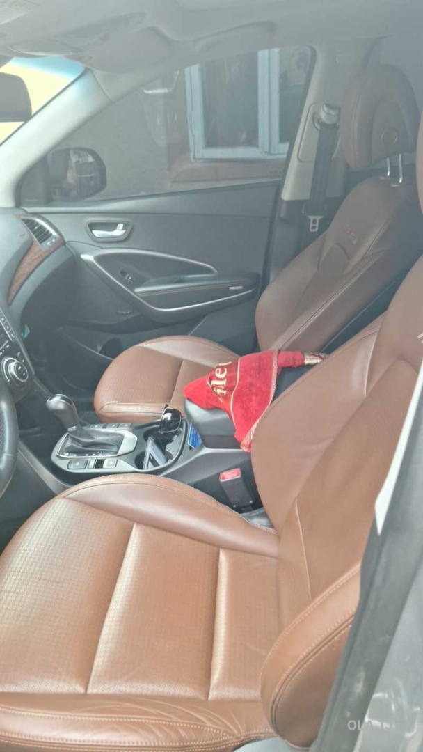 Hyundai Maxcruz,  2014