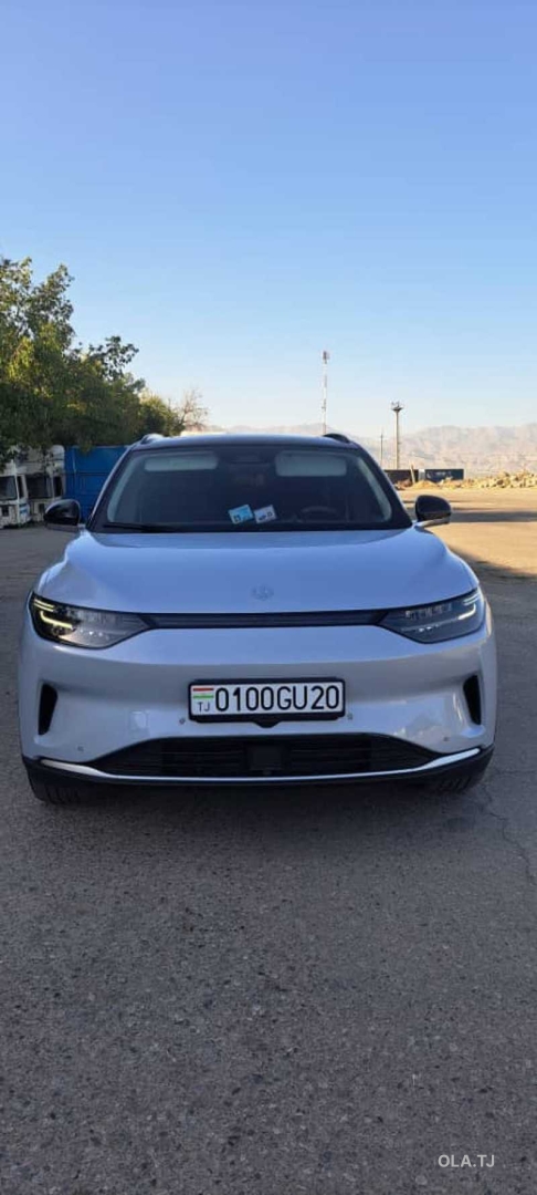 Leapmotor C11,  2025