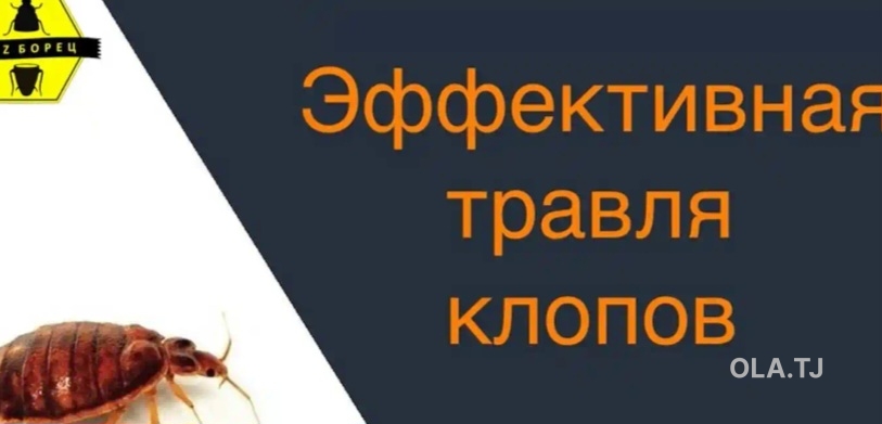 услуги дезинфекции