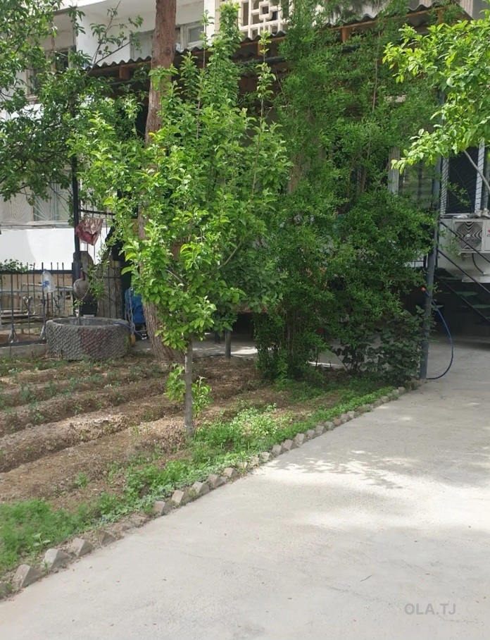 5 комнатная квартира, 1 этаж,