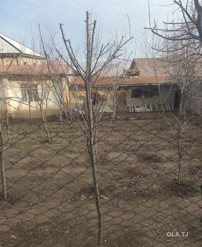 Дом (хавли), 7 комнат, 2 эт