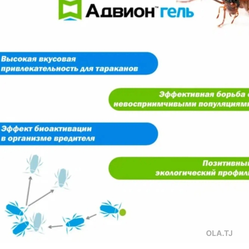 услуги дезинфекции