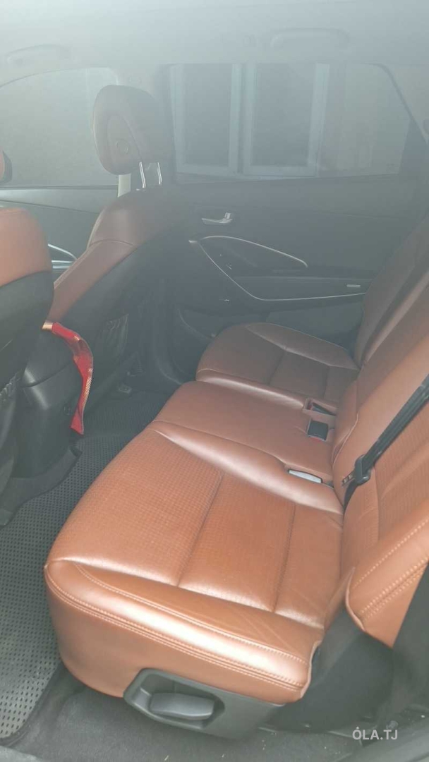Hyundai Maxcruz,  2014