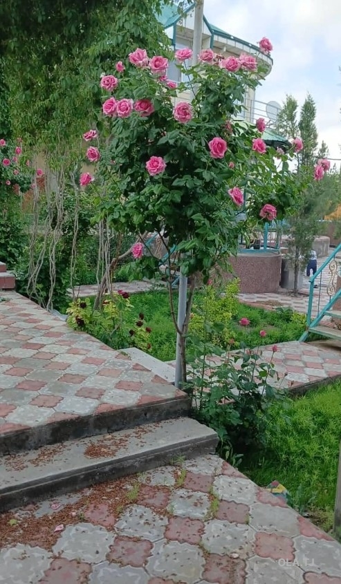 Дача, 5 комнат, 2 эт