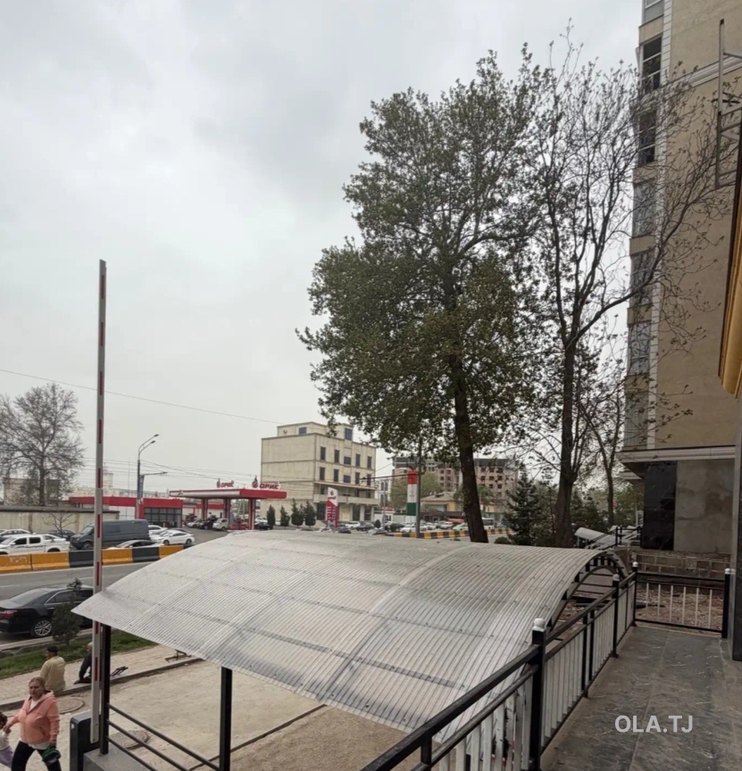 Помещение под ресторан / бар, 106м², Док
