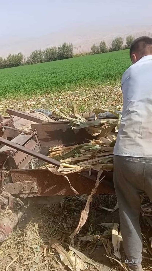 Куф