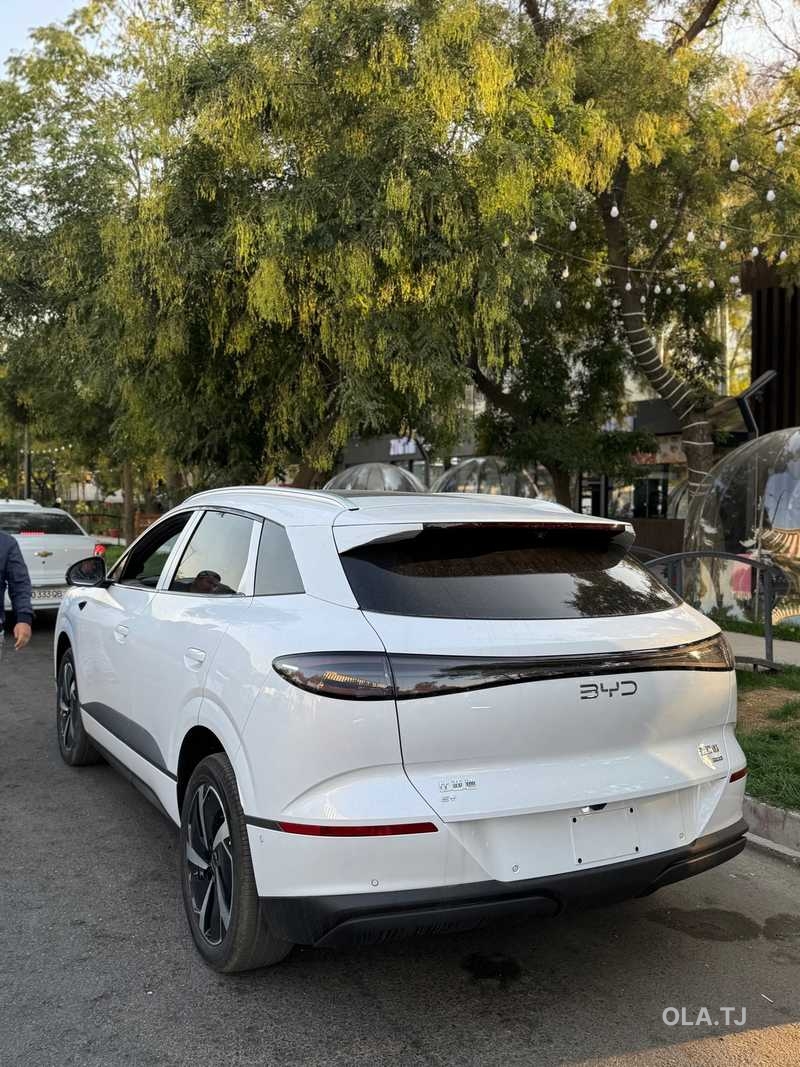 BYD Sea Lion 06,  2025