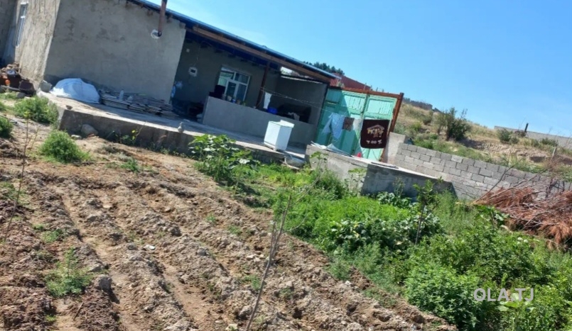 Дом (хавли), 3 комнат,