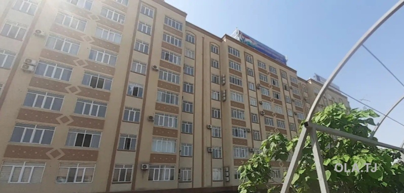1 комнатная квартира, Цокольный этаж, 53 м²