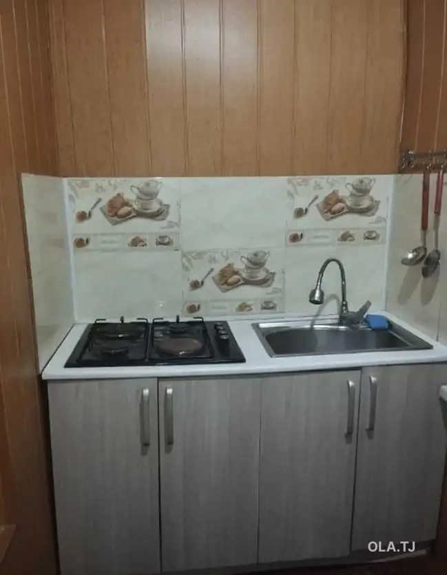 1 комнатная квартира, 1 этаж,