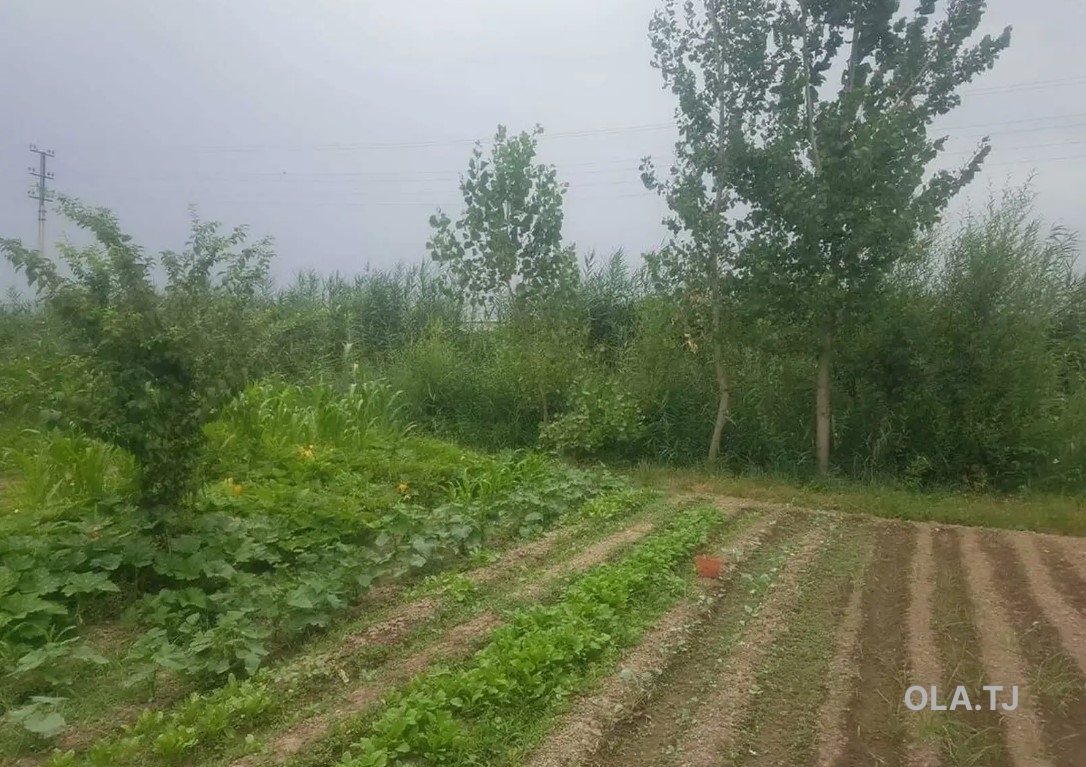 Дом (хавли), 3 комнат, 1 эт