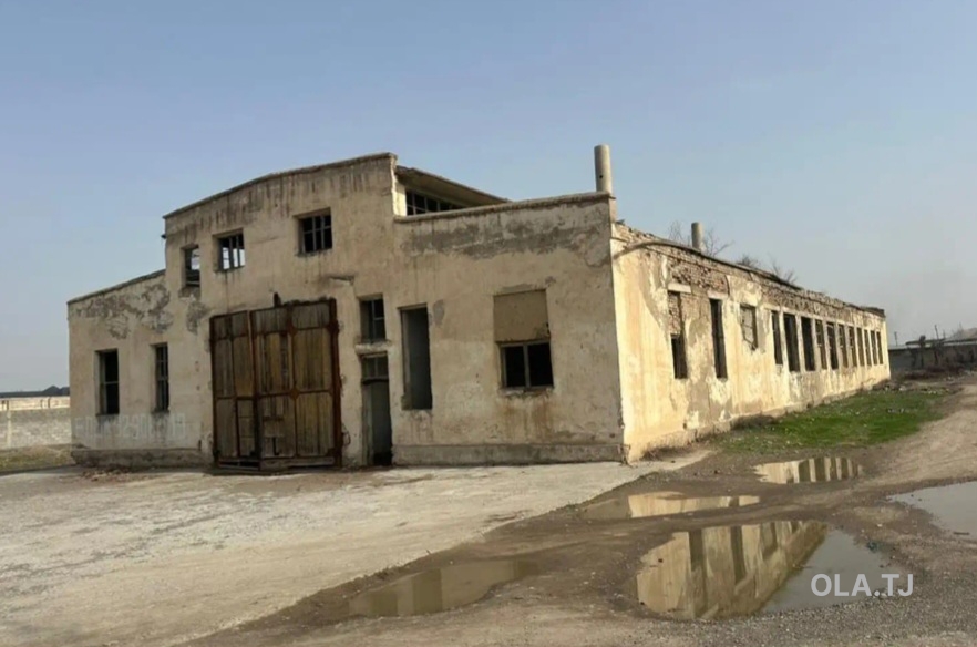 Здание под свободное назначение, Хамид Алиев