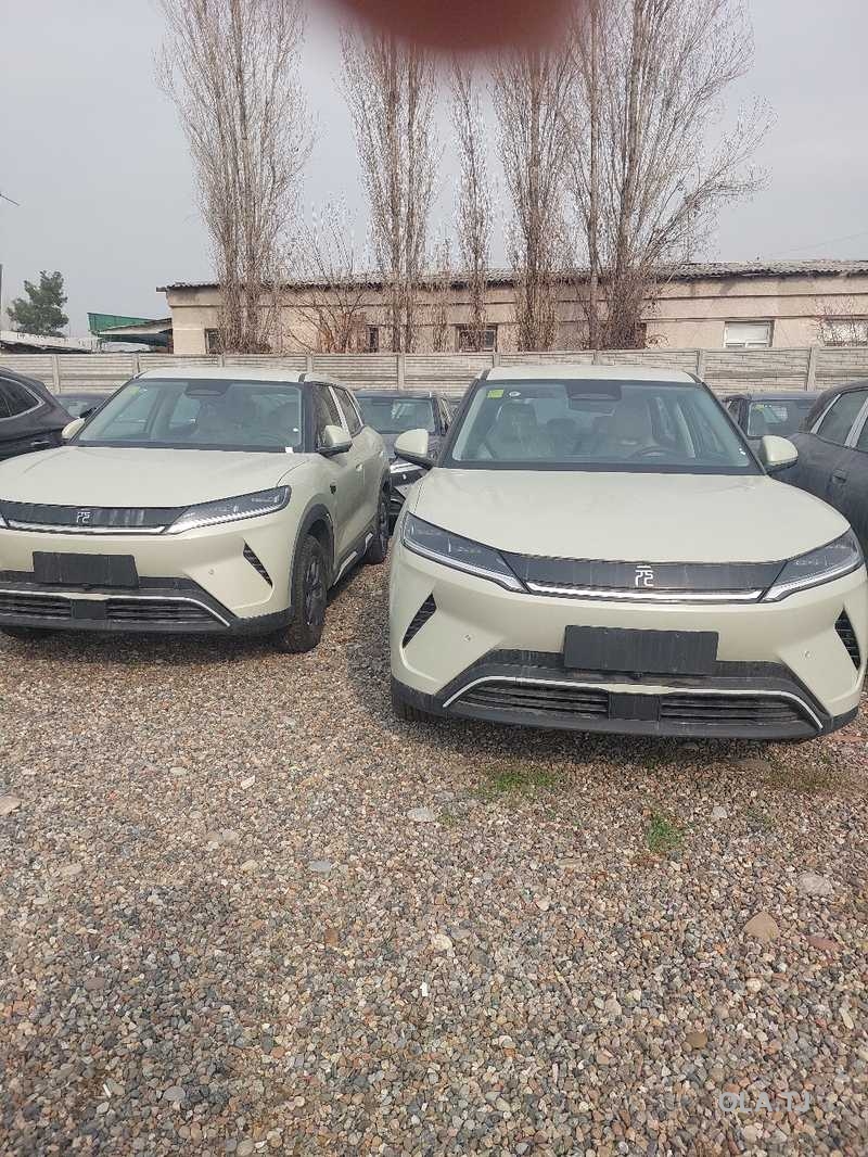 BYD Yuan Up,  2025