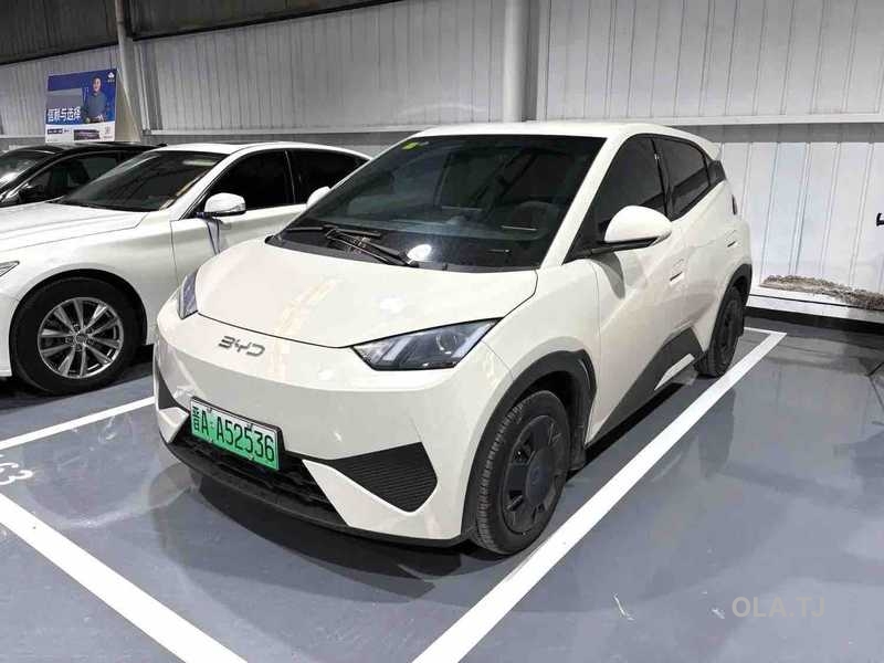 BYD Seagull,  2025