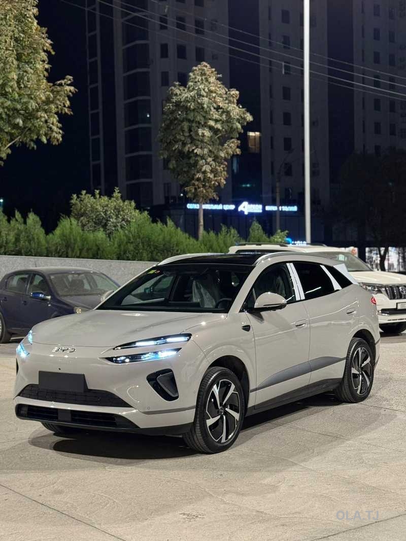 BYD Sea Lion 06,  2025