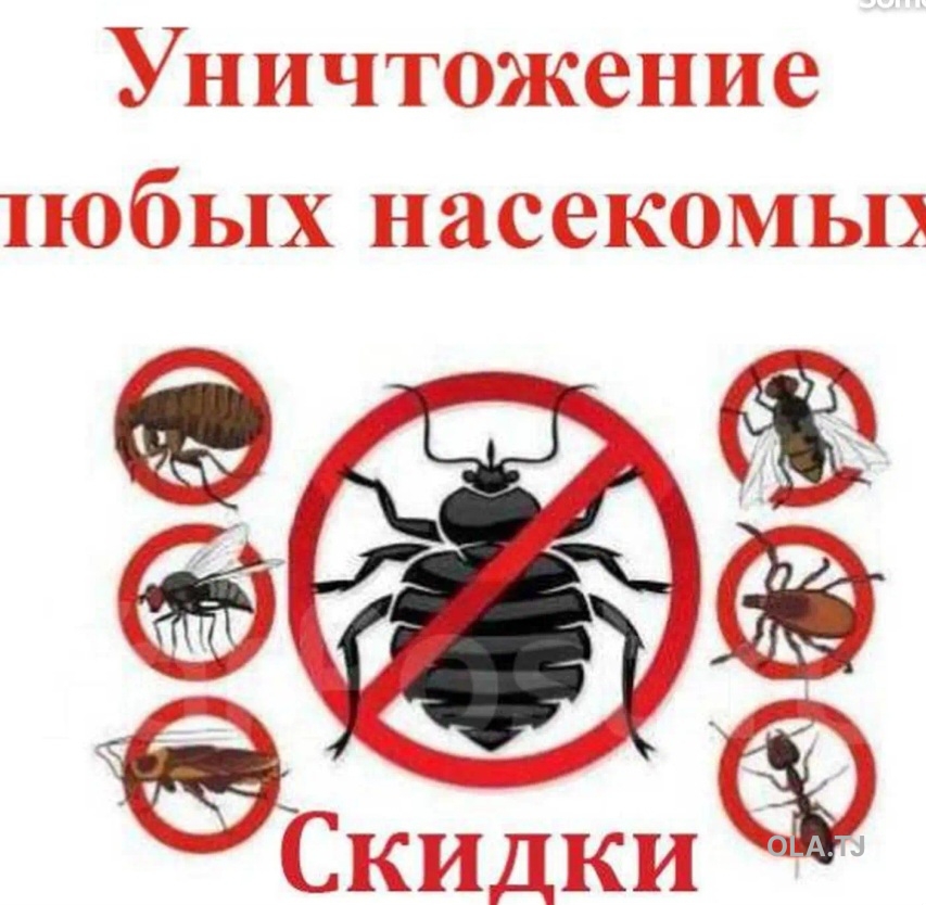 услуги дезинфекции