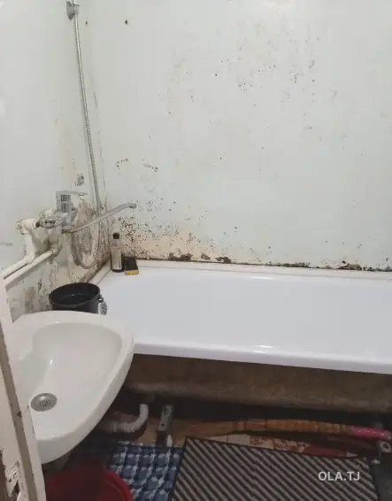 1 комнатная квартира, 1 этаж, 42м²