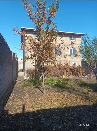 Дом (хавли), 10 комнат, 3 эт